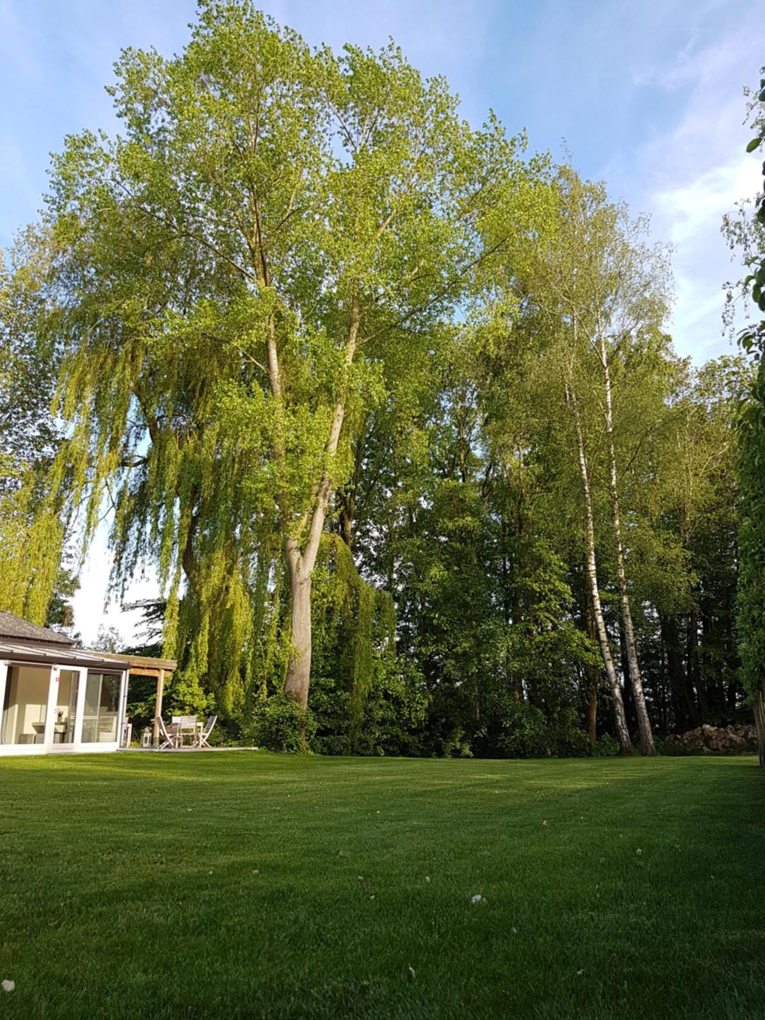 B&B Maison Kerkhove Eksteriør bilde